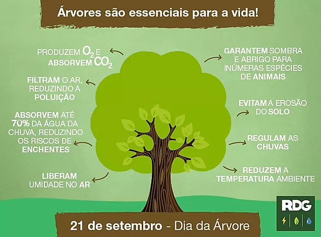 Informação Dia da Árvore 2018